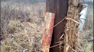 Подготовка колод с пчёлами к зиме 2018г. Колодное пчеловодство