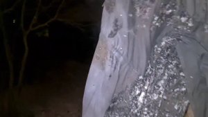 Тест пионера с патронами гром