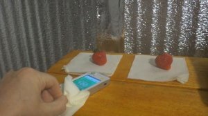 Момент истины для клубники выращенной на гидропонике.