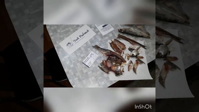 Улов Рыбаков ОТЗЫВ о продукции. Рыбка из Астрахани с доставкой. смотреть онлайн