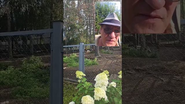 Велес Тур татем в язычестве