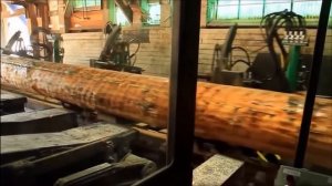Огромная ленточная пила по дереву