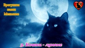 6 Версий Откуда на Земле Появились Кошки! Мифы и Легенды о Происхождении Кошек!