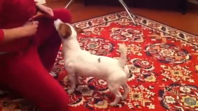 Учимся делать " пис" смотреть онлайн