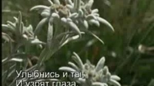 106На душе весна.mp4