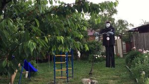 Пугало от птиц для спасения урожая черешни