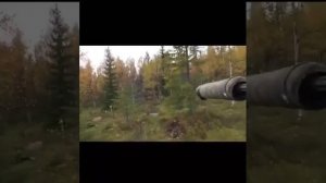 Охота на лося за границей