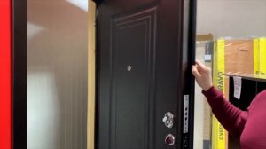 Металические двери Аргус.