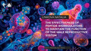 The effectiveness of peptide bioregulators to maintain the function of the male reproductive system