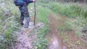 Чёрная. Следы невиданных зверей - кабан и лось. 01-08-18