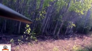 Bear hunting. ALASKA !  Охота на медведя. аляска!!!