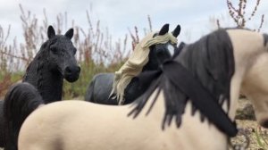 Проект 2022 Сериал "Шериф"/ 3 серия.