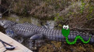 "I'm a Reptile with a Reputation" | Reptile Song | Kids Learn About Reptiles | Reptiles for kids