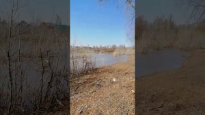 Вода поднимается. Паводок 12.04.2019 на речушке Ашкадар