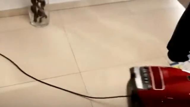 Пылесосы Miele 8 серия смотреть онлайн