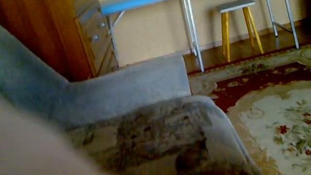 Чип Чипыч стоматолог