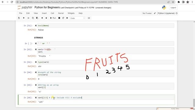 Part1: String Data Types in Python || Python for Beginners || Data Types in Python