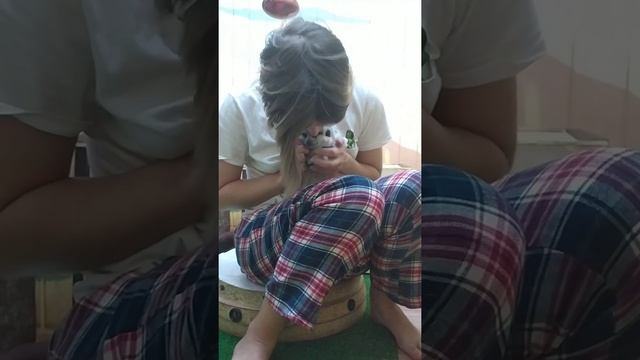 Домашний сурикат. Стрижем коготки. #Ядомашний #сурикаты #сурикат_дома #meerkats смотреть онлайн