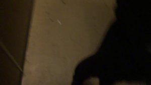 Грузовой лифт (г. Химки), V=1 м-с, г-п 500 кг (77)