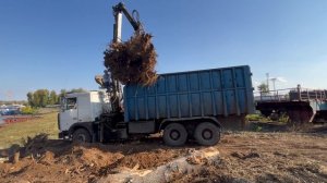 Ломовоз грузит пень массой 3,5 тонны