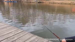 Ловля Форели. Trout NEO 6. FishManiac. Спиннинг. Дропшот. Платник. Trout fishing. Dropshot. Spinnin