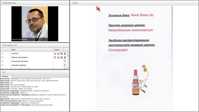 Вебинар Логинова С.Д. "Цветы Баха. Терапия цветочными эссенциями."