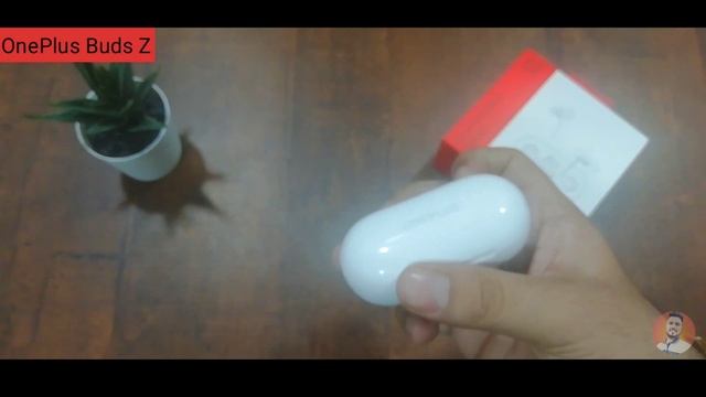 OnePlus Buds Z TWS Earphones Unboxing & Honest Review
