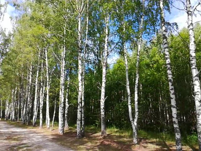 Китеж град Светлояр озеро нижегородская область(1)