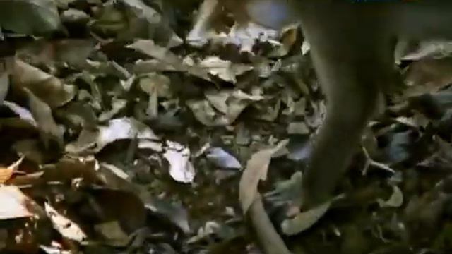 Рейтинг Баженова "Могло быть хуже".Аватар(№8).