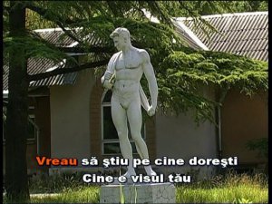 Dublu sens."Vreau sa știu pe cine iubești". Karaoke