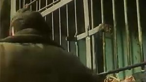 Тропой бескорыстной любви! Часть2