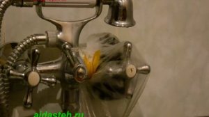 Удаление известкового налёта со смесителя http://aidasteh.ru/kak-udalit-nalyot-s-krana-smesitelya
