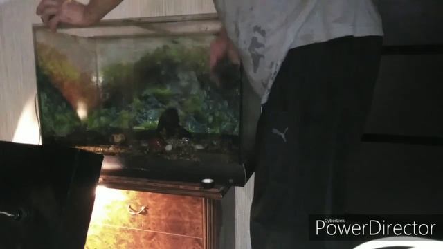 Аквариум, чистка, сомы,рыбки, корм для рыбок, сливаем воду. смотреть онлайн