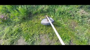 Мой первый заработок в этом сезоне на покосе травы.