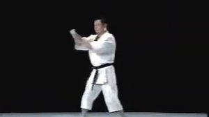 Шито-рю каратэ.Ката Сэйэнчин.Seienchin Shito Ryu