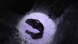 Рыбалка 2023!