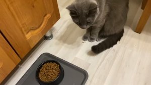 Сухой корм Perfect Fit