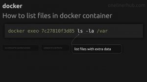 How to list files in docker container #docker