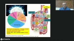 Вебинар: Эндокринология и микроэкология кишечника как патогенетические таргеты