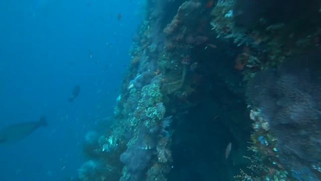 Дайвинг на острове Бали. Дайв-сайт Туламбен. Diving On The Island Of Bali. Tulamben Dive Site.