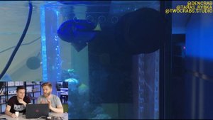 хепатус | рыбка дори в аквариуме | голубой хирург рыба | красивая аквариумная рыбка