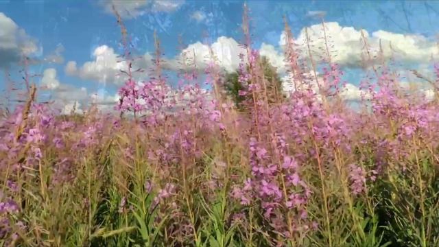 Ты со мной... (стихи - Ольга Дейнега. Музыка, исполнение - Светлана Ветошева) Красивая песня! смотреть онлайн