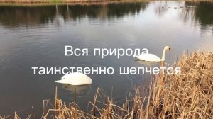 Слава Богу за Все ! Как благодарить Бога?