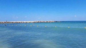 В Израиле есть море и красивая природа. На этом хорошее, пожалуй, заканчивается.