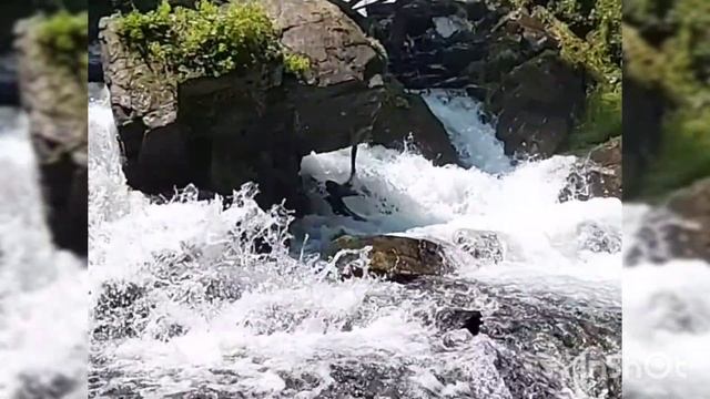 Медитация "Послание Вселенной" смотреть онлайн