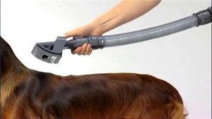 The Dyson Pet Grooming Tool