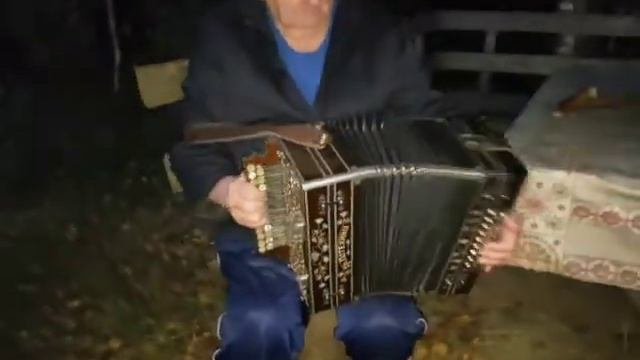 Гармонисты г.Семёнов