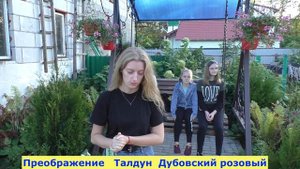 Виноград . Какая форма вкуснее. Талдун или Дубовский розовый .