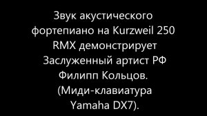 Kurzweil 250 demo by Philipp Koltsov