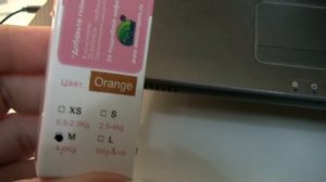 Как отучить кошку драть мебель (накладные ногти)